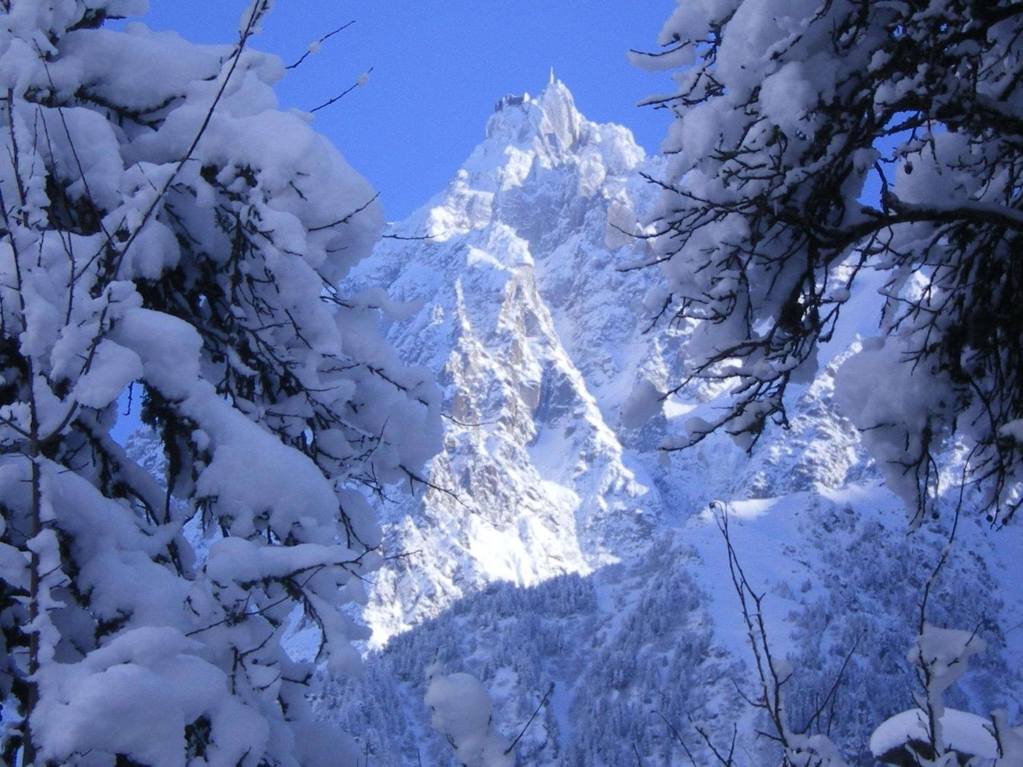 Le Montagny Hotel Les Houches Eksteriør billede