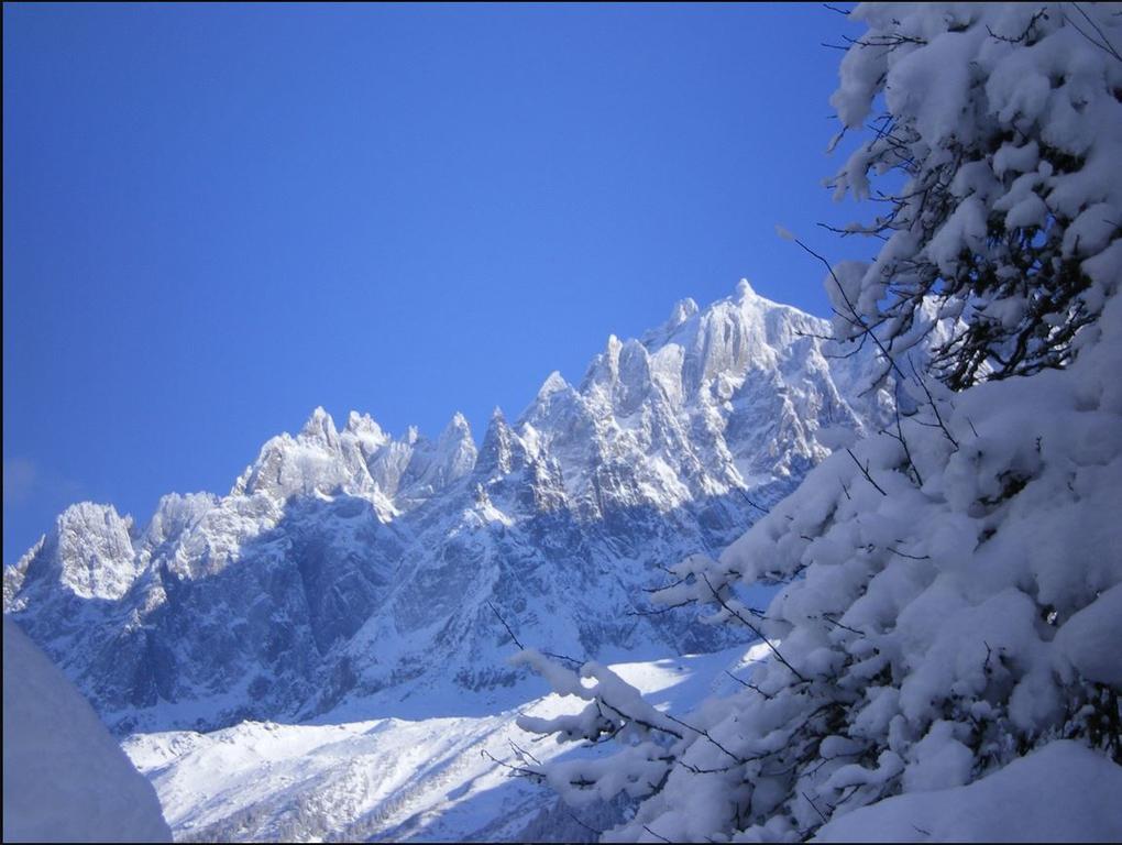 Le Montagny Hotel Les Houches Eksteriør billede